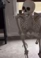Funny skeleton decoration moving playfully in a home setting, perfect for Halloween vibes and themed parties.