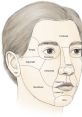 Cheek from Cheek. #speech #speechsynthesizer #narration #monologue #femalespeech #womanspeaking #inside #publicspace #