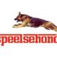 Speelsehond Speelsehond houd zich bezig met honden trainingen en de gezondheid van uw hond. Voor de honden trainingen houd ik