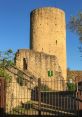 Aurignac muriel from aurignac muriel. #speech #narration #monologue #femalespeech #womanspeaking #clicking #gasp #sigh