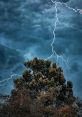 Thunder-Storm The ambience of a thunderstorm is truly a force to be reckoned with. The deep rumble of thunder echoing