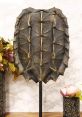 Turtle Shell Spinning The first that comes to mind when thinking about Turtle Shell Spinning is the sharp, metallic clang