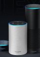 Amazon Alexa smart speakers in various sizes, showcasing sleek design and vibrant LED indicators for voice interaction.