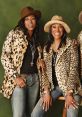 The Pointer Sisters Play and download The Pointer Sisters clips. #im about to lose control #pointer sisters