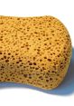 Sponge Type your text and hear it in the voice of Sponge.