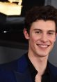 Shawn Mendes Shawn Mendes is not a movie, television show, or song, but rather a Canadian singer, songwriter, and ian who