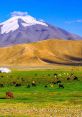 Bataa (Mongolian Mongolia) Type your text and hear it in the voice of Bataa (Mongolian Mongolia) by 101 s.